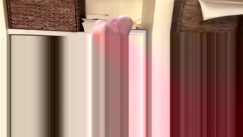 BeachGuy online show from 11/18/25, 04:44