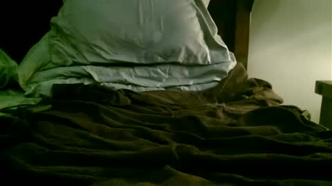 beagle1 online show from 12/21/24, 01:21