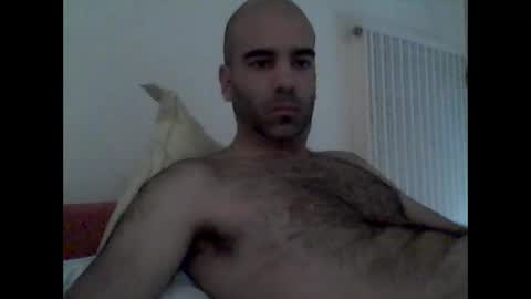bear14250949 online show from 10/19/25, 09:10