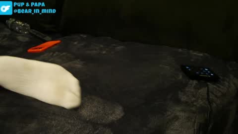 BareBear online show from 04/22/26, 01:19