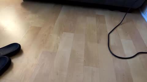 beard online show from 12/06/24, 07:54