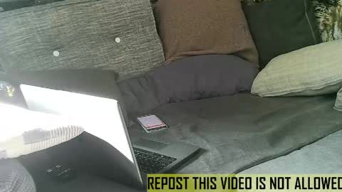 bearlov1 online show from 05/14/26, 07:26