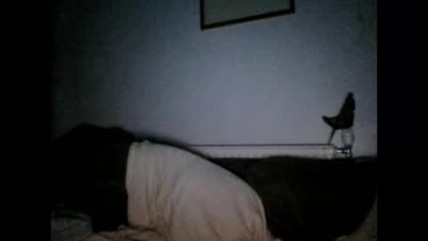 beatlebut online show from 10/01/25, 06:25