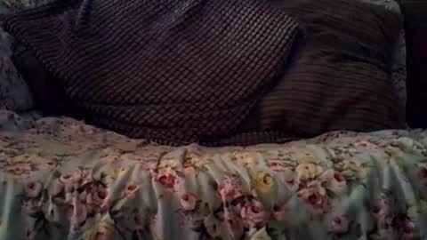 beatlebut online show from 10/16/25, 03:18