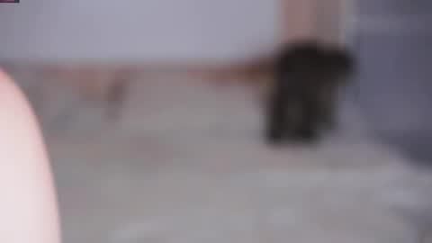 Beatrice online show from 11/07/25, 07:25