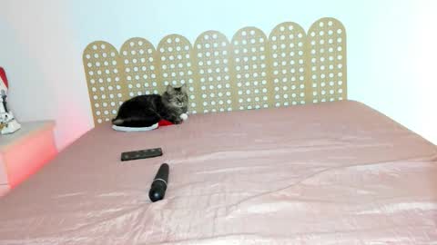 Beautyraf online show from 12/18/25, 10:49