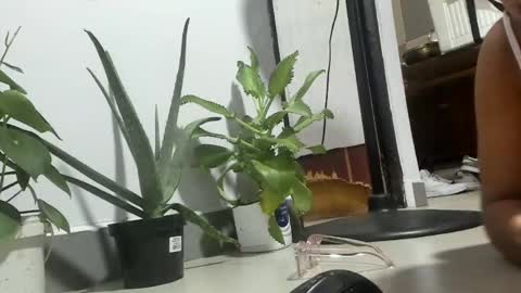 Snapshot of bebesitadiaz chatting on 04/11/26, 02:27 bebesita online show from 04/11/26, 02:27