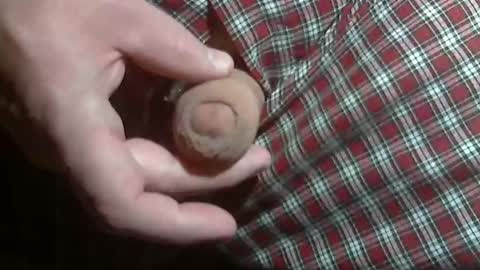  Reservoir Dogs online show from 01/12/26, 01:00