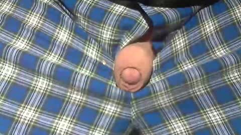  Reservoir Dogs online show from 02/19/26, 11:28