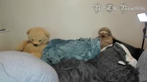 Snapshot of beethebumblebee chatting on 02/24/26, 10:35 Bee online show from 02/24/26, 10:35