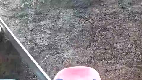 Tezza online show from 02/28/25, 05:48