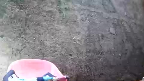 Tezza online show from 02/28/25, 08:53