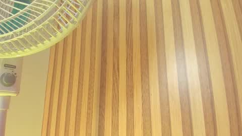 Melanie  online show from 02/13/26, 10:33