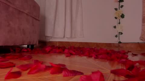 Snapshot of bella_desi chatting on 02/08/25, 12:17 Dessi online show from 02/08/25, 12:17
