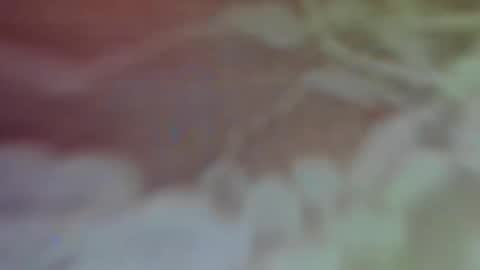 Bella Porch online show from 02/26/25, 02:59