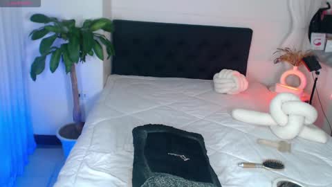 Bella Porch online show from 03/02/26, 07:15