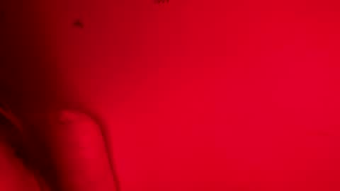 Belle xx online show from 11/09/25, 08:12