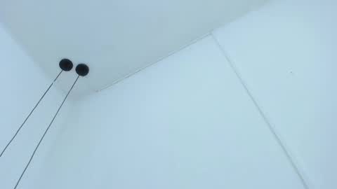 Bellota Flak online show from 12/11/24, 06:47