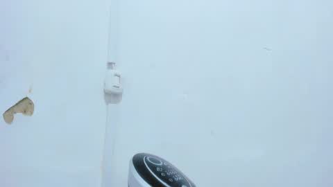 Bellota Flak online show from 12/14/24, 04:56