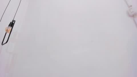 Bellota Flak online show from 12/23/24, 07:49