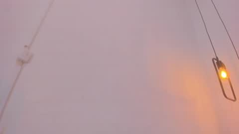 Bellota Flak online show from 12/28/24, 08:26