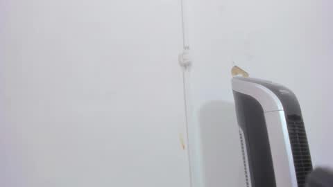 Bellota Flak online show from 12/30/24, 08:32