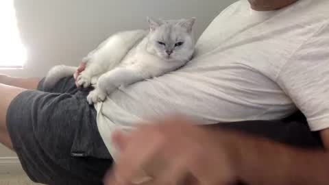 ben_nature online show from 06/25/26, 08:57