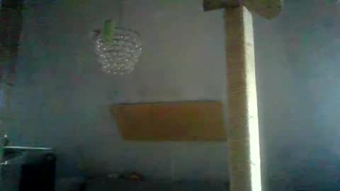 benizio online show from 01/24/25, 02:41