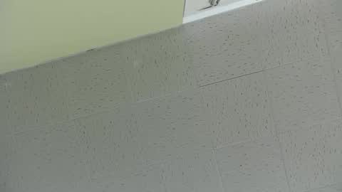 Ben online show from 03/02/25, 07:45