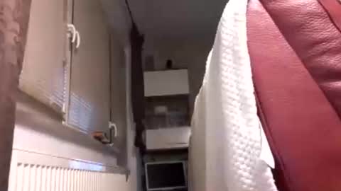 Benutzmich0800 online show from 02/14/26, 02:19