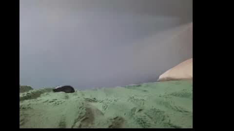 Snapshot of beobenshauna chatting on 01/02/25, 10:37 beobenshauna online show from 01/02/25, 10:37