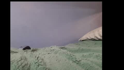 Snapshot of beobenshauna chatting on 01/21/25, 05:49 beobenshauna online show from 01/21/25, 05:49