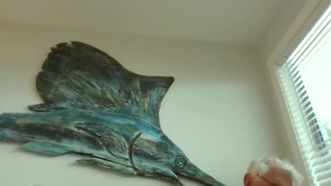 bestshot1951 online show from 03/20/26, 01:49