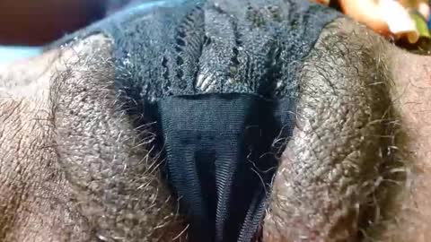 Snapshot of bethanywilsom chatting on 01/24/25, 03:34 Bethany Wilson online show from 01/24/25, 03:34