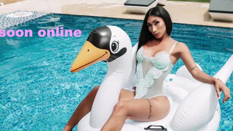 Nicolle Aviles online show from 12/31/24, 07:53