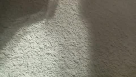 Bigfish123 online show from 03/12/25, 04:41