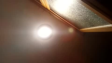 Snapshot of bgiamba21 chatting on 10/29/25, 11:50 bgiamba21 online show from 10/29/25, 11:50