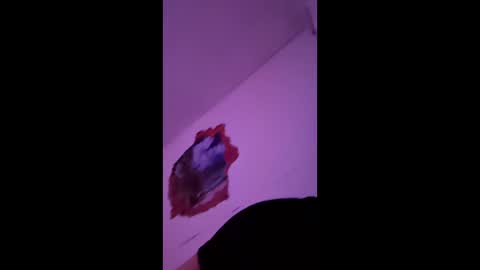 Snapshot of bgiamba21 chatting on 02/07/26, 10:19 bgiamba21 online show from 02/07/26, 10:19