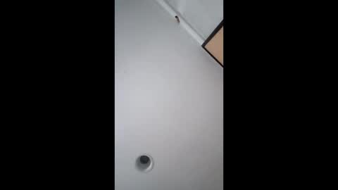 Snapshot of bgiamba21 chatting on 02/17/26, 05:48 bgiamba21 online show from 02/17/26, 05:48