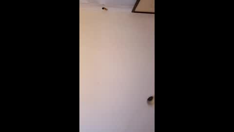 bgiamba21 online show from 04/04/26, 06:33