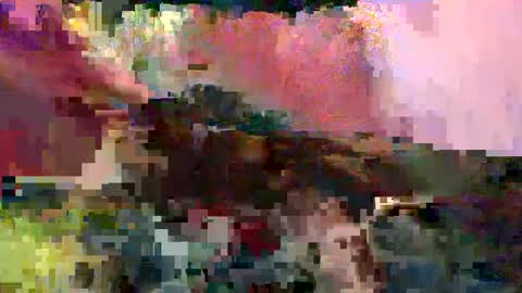 big9inchsnake online show from 01/05/25, 12:42