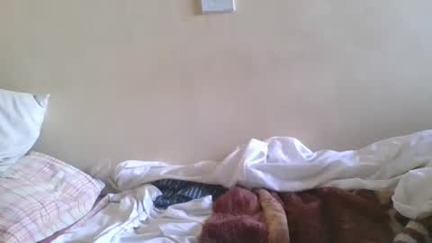 big_cockk_daddy online show from 04/15/26, 07:37