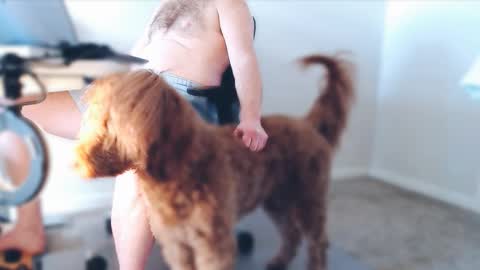 Alcide Herveaux online show from 02/25/26, 05:00