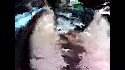 bigbird0100101 online show from 02/07/26, 06:55