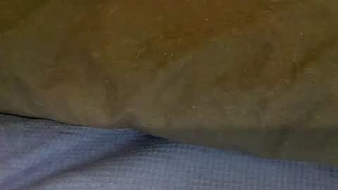 Snapshot of bigboii842 chatting on 11/15/25, 04:36 bigboii842 online show from 11/15/25, 04:36