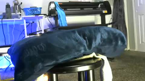 bigboybigbutt69 online show from 05/06/26, 10:31