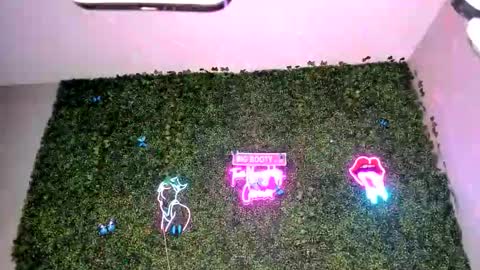 bigbuttsarena online show from 04/22/26, 06:27