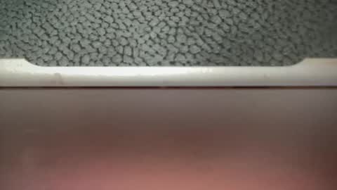 bigcocksuckingslut online show from 02/02/25, 05:26