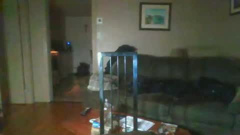bigdeer581917471 online show from 02/01/25, 08:08