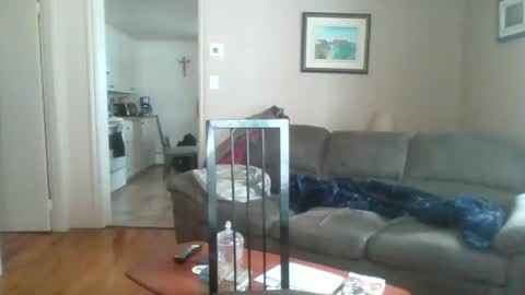 bigdeer581917471 online show from 02/02/25, 05:48